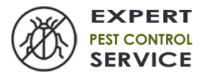 Pest Control Exterminator Miami Beach FL